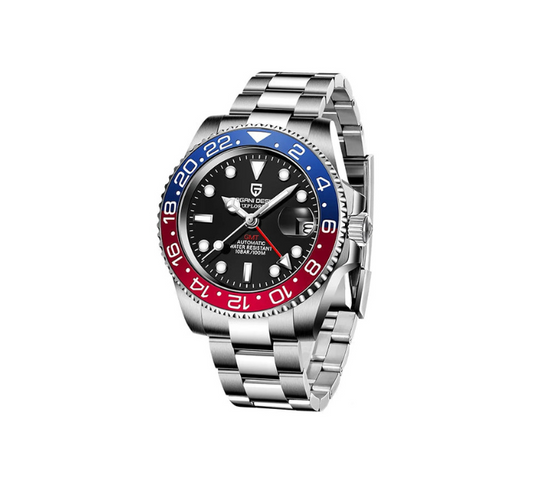 Montres Mécaniques Homme PAGANI DESIGN